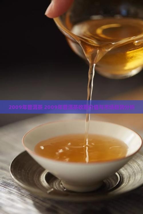 2009年普洱茶