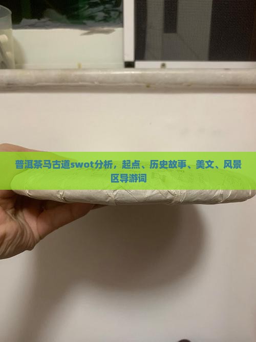 普洱茶马古道swot分析