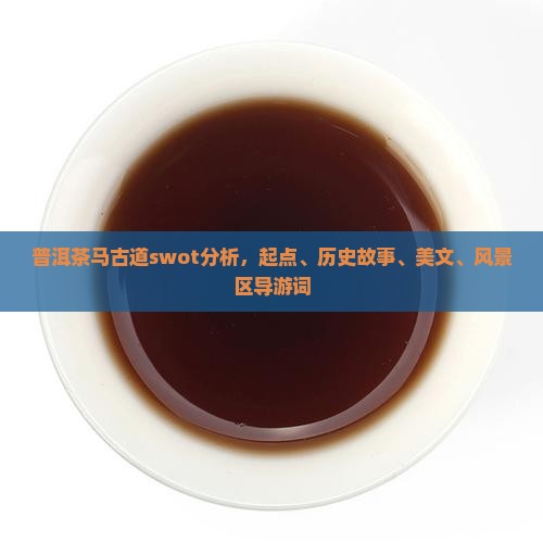 普洱茶马古道swot分析