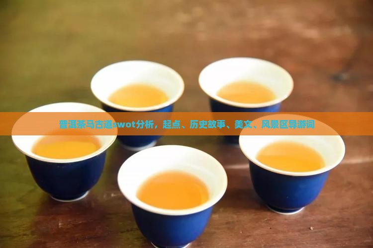 普洱茶马古道swot分析