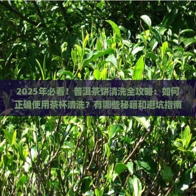普洱茶杯如何清洗茶饼