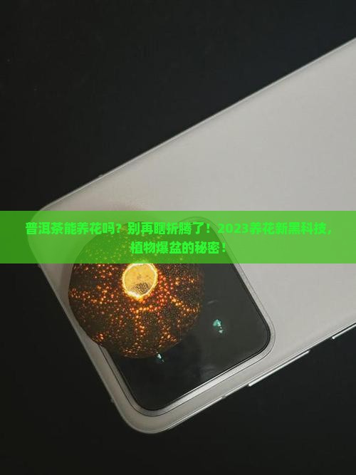 普洱茶能养花吗