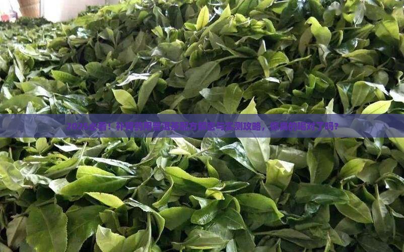 补肾药用普洱茶配方