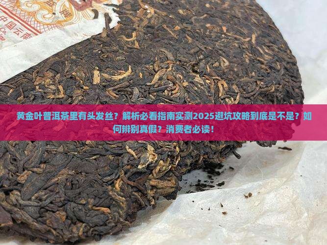 黄金叶普洱茶里有头发丝