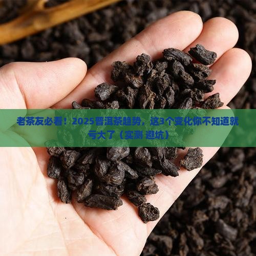 老同志普洱茶趋势