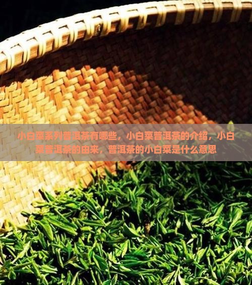 小白菜系列普洱茶