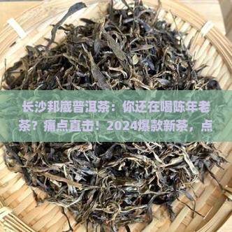 长沙邦崴普洱茶 长沙邦崴普洱茶