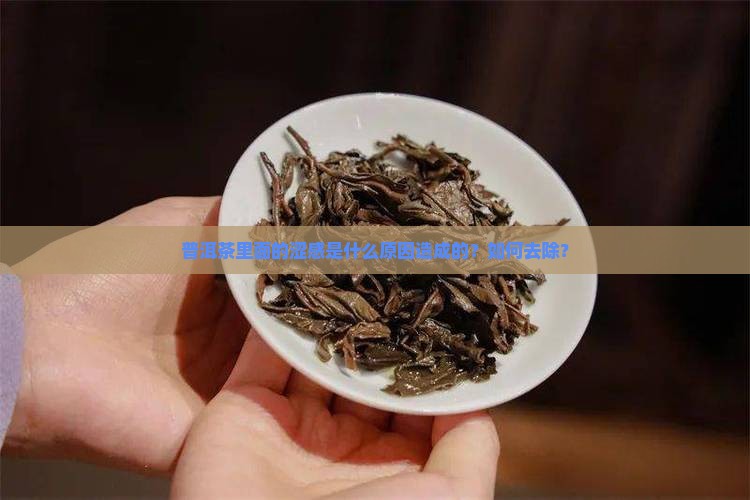 普洱茶里面的涩感