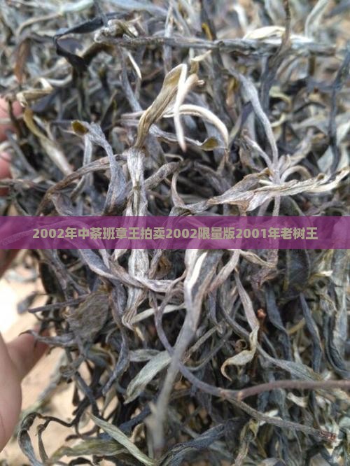 2002年中茶班章王