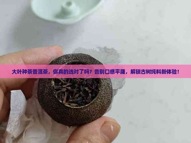 大叶种茶普洱茶