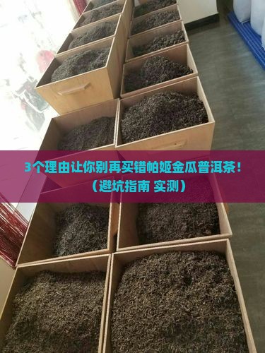 帕姬金瓜普洱茶