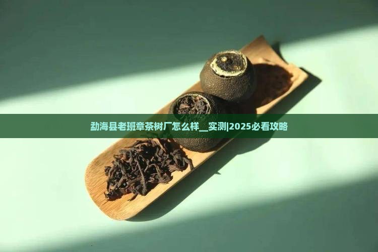 勐海县老班章茶树厂怎么样