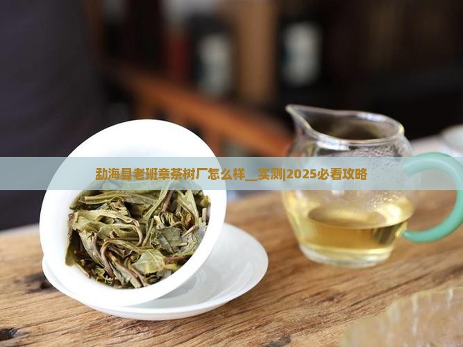 勐海县老班章茶树厂怎么样