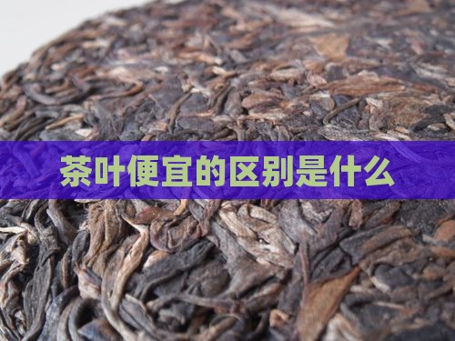 贵茶叶与便宜茶叶有什么区别