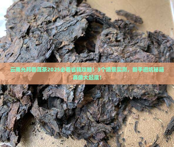 云南允邦普洱茶