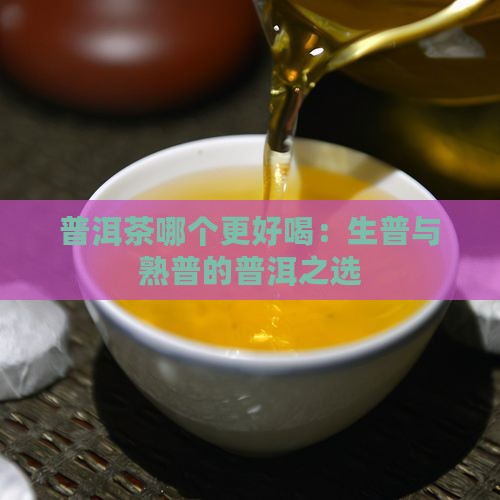 普洱茶生普和熟普哪个好喝些