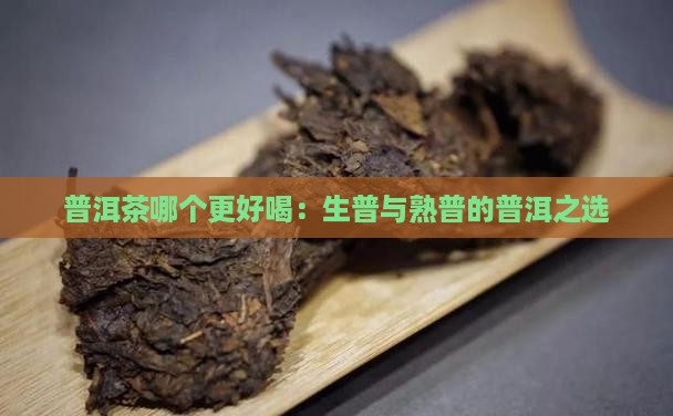 普洱茶生普和熟普哪个好喝些