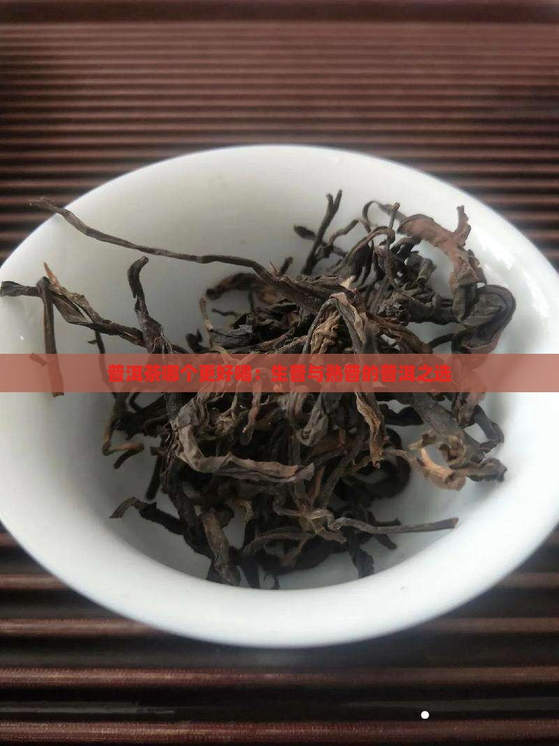 普洱茶生普和熟普哪个好喝些