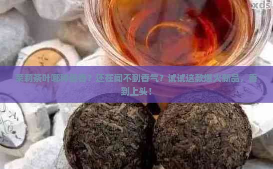 茉莉茶叶哪种最香