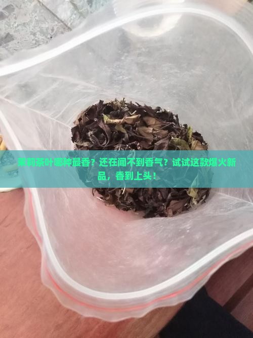 茉莉茶叶哪种最香