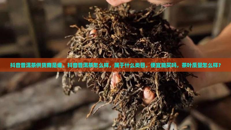 抖音普洱茶供货商是谁