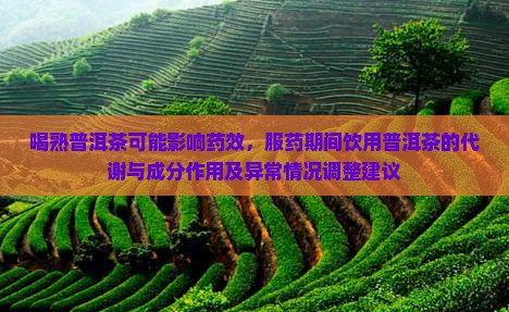 喝熟普洱茶影响药效吗