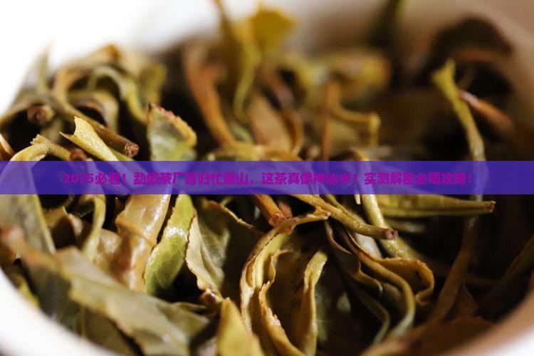 勐傣茶厂昔归忙麓山