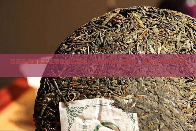 普洱茶哪里买最正宗价格最实惠