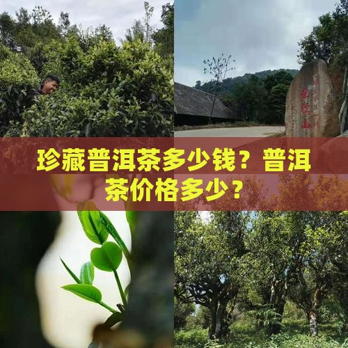 这个珍藏的普洱茶多少钱