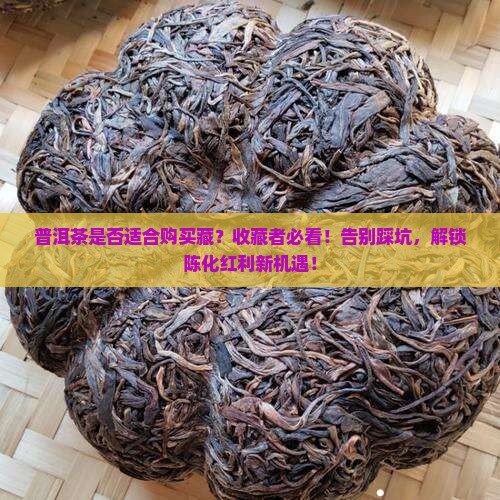 普洱茶是否适合购买藏