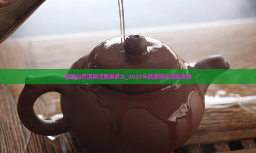 南糯山普洱茶保质期多久