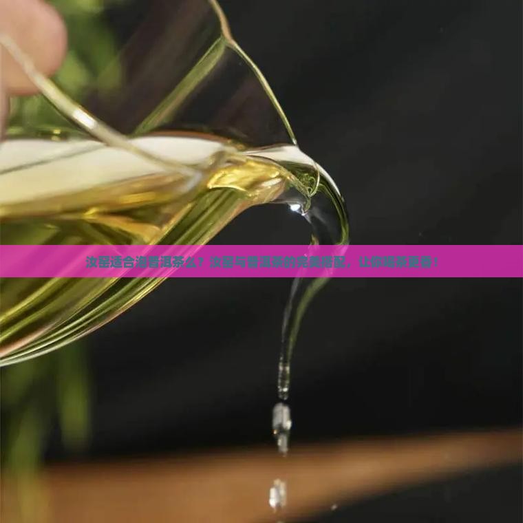 汝窑适合泡普洱茶么