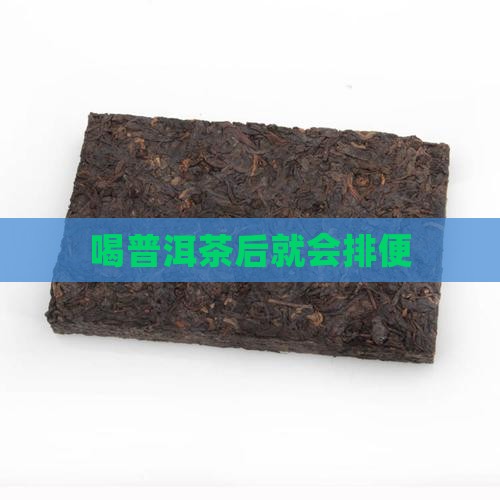 喝普洱茶后就会排便