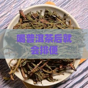 喝普洱茶后就会排便