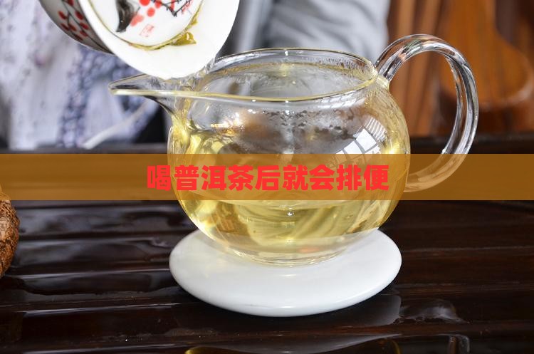 喝普洱茶后就会排便