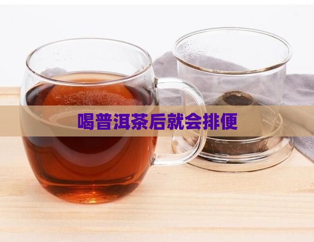 喝普洱茶后就会排便
