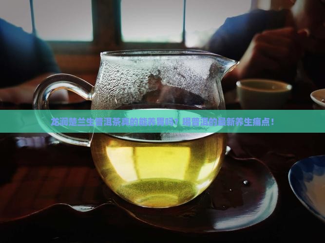 龙润楚兰生普洱茶