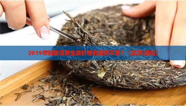 2019布朗普洱茶生茶价格
