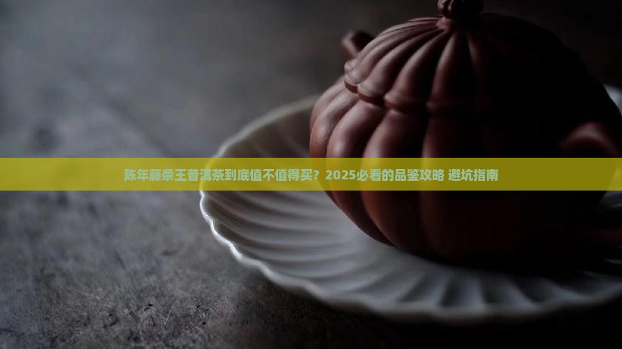 陈年藤条王普洱茶好吗