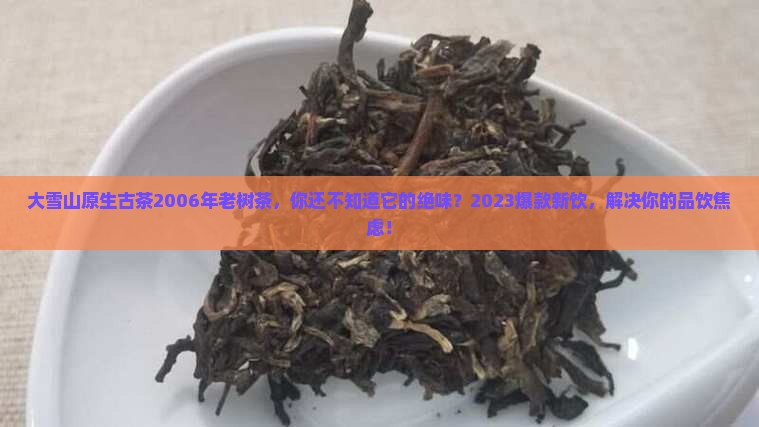 大雪山原生古茶2006年老树茶