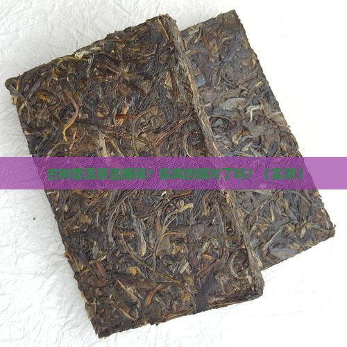 古树普洱茶直播间