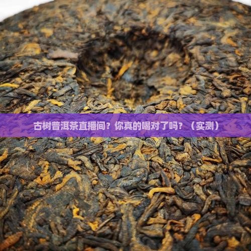 古树普洱茶直播间