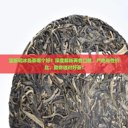 蓝版和冰岛茶哪个好