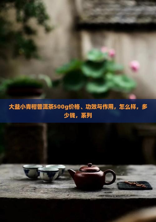 大益小青柑普洱茶500g