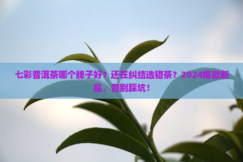 七彩普洱茶哪个牌子好