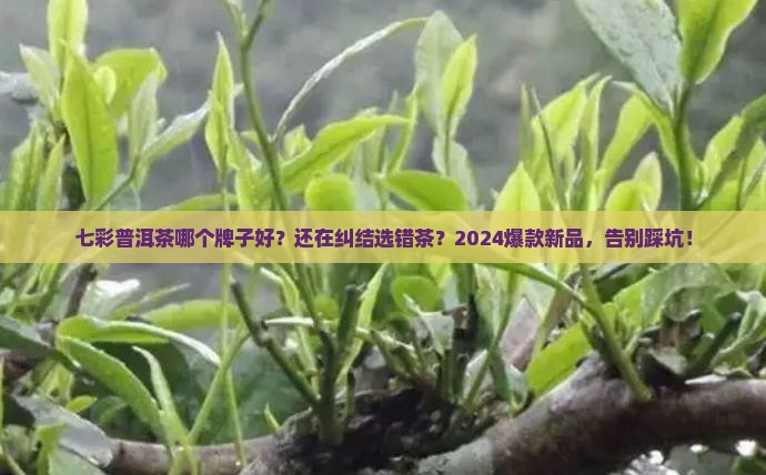 七彩普洱茶哪个牌子好