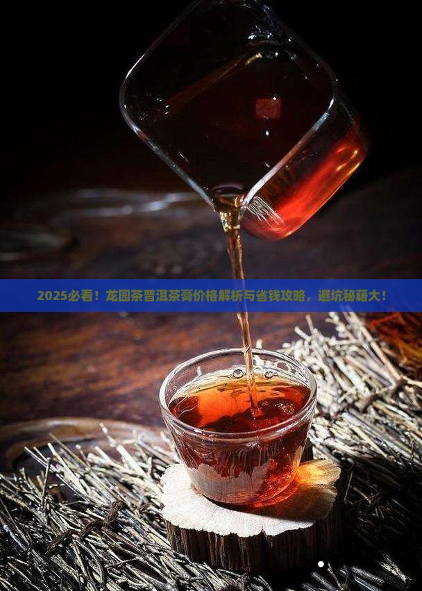 龙园茶普洱茶膏价格