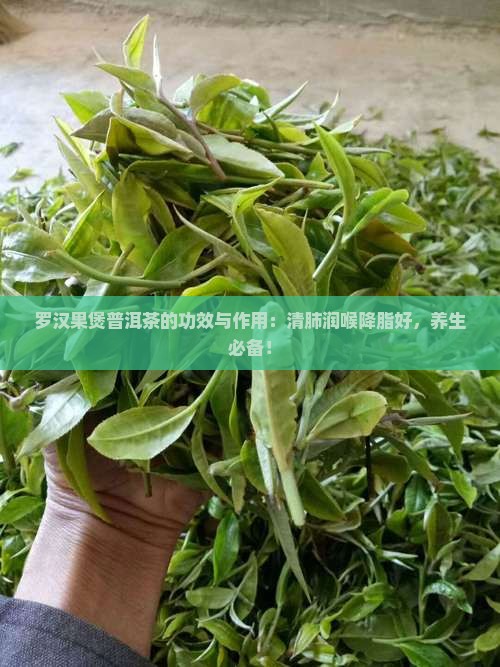 罗汉果煲普洱茶的功效与作用