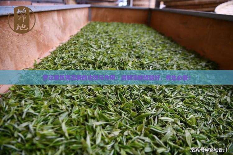 罗汉果煲普洱茶的功效与作用