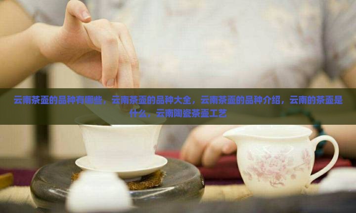 云南茶壶的品种